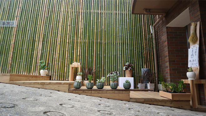 bamboowall660