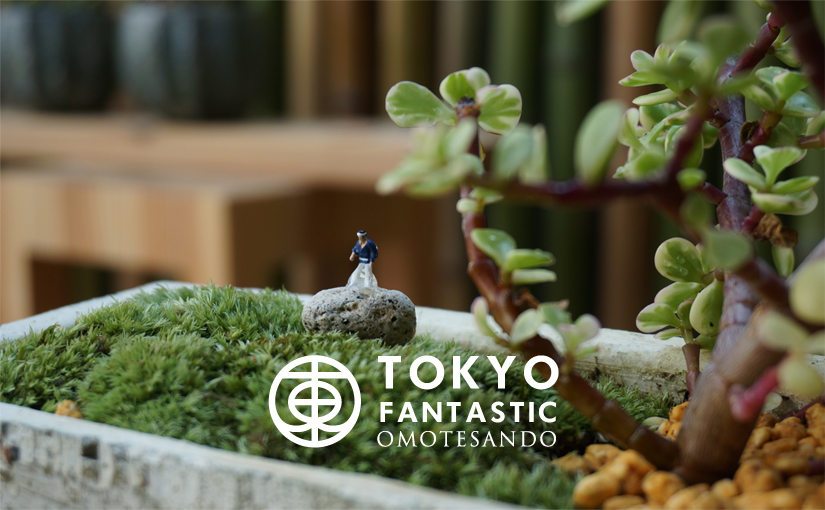 テーブル盆栽 テーブルボンサイ bonsai