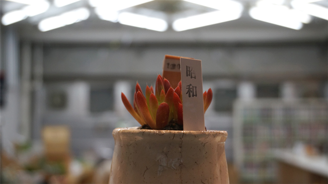 ヒコみづの学園祭
