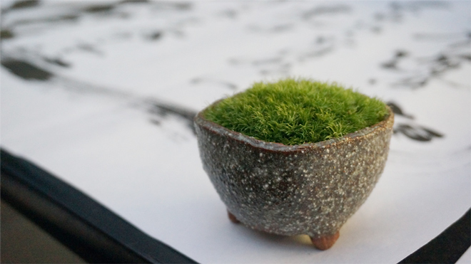 ヒコみづの学園祭 MUG2015