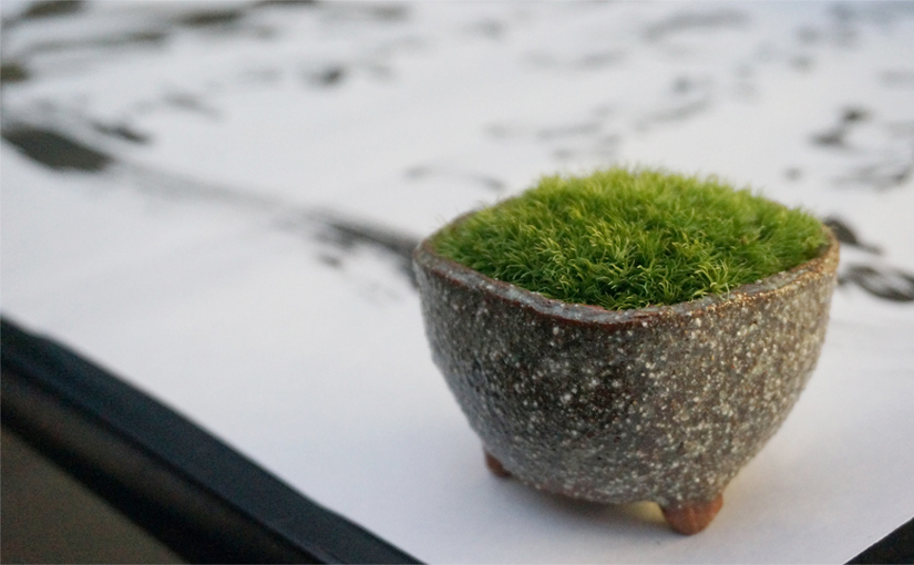 ヒコみづの学園祭 MUG2015 10.10 & 10.11