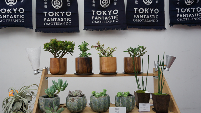 ヒコみづの学園祭 MUG2015