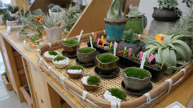 ヒコみづの学園祭 MUG2015