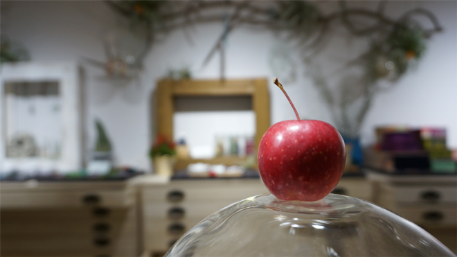 Glass & Art MOMO & Tida Flower Christmas exhibition 2015 りんご