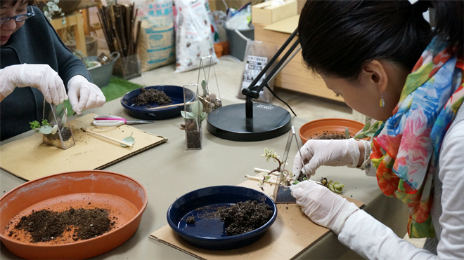 ステンドグラス多肉寄せ植えテラリウム ワークショップ