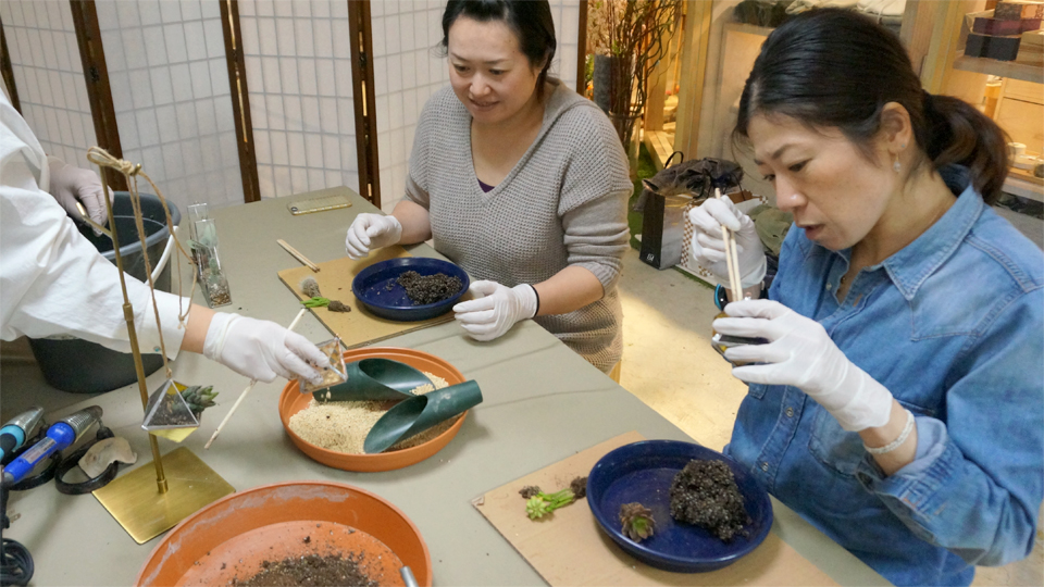 ステンドグラス多肉寄せ植えテラリウム ワークショップ