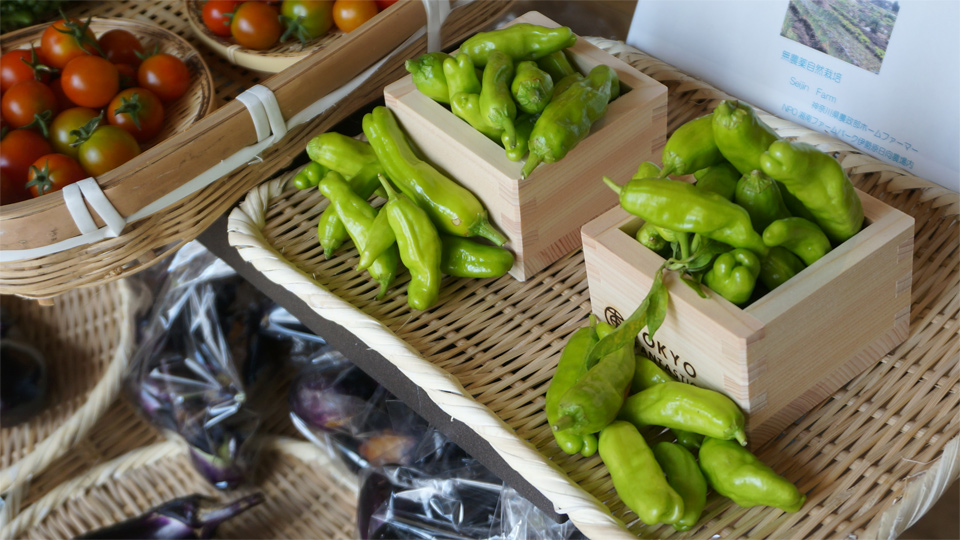 無農薬野菜 Seijin Farm