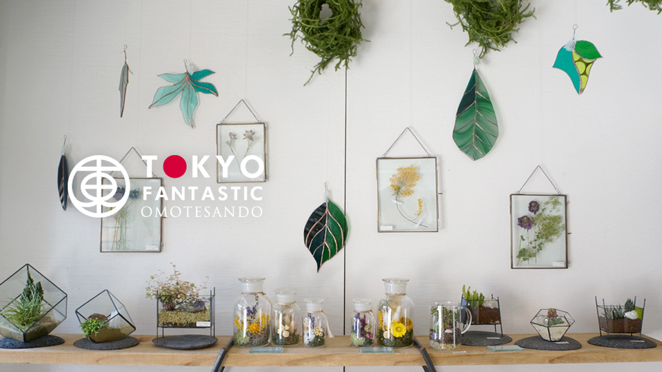 春を楽しむ企画展「ボタニカルコレクション」開催中!