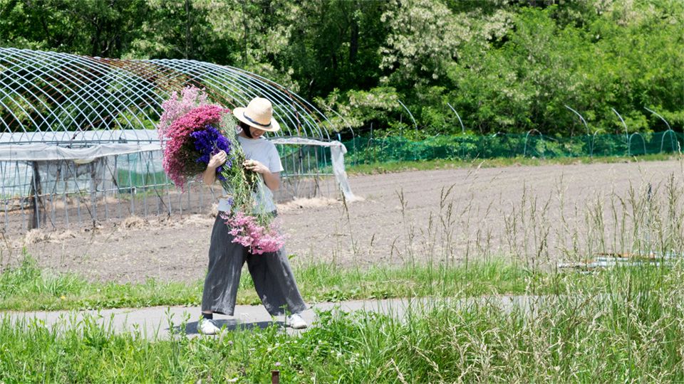 長野 サマーチェリー ドライフラワー