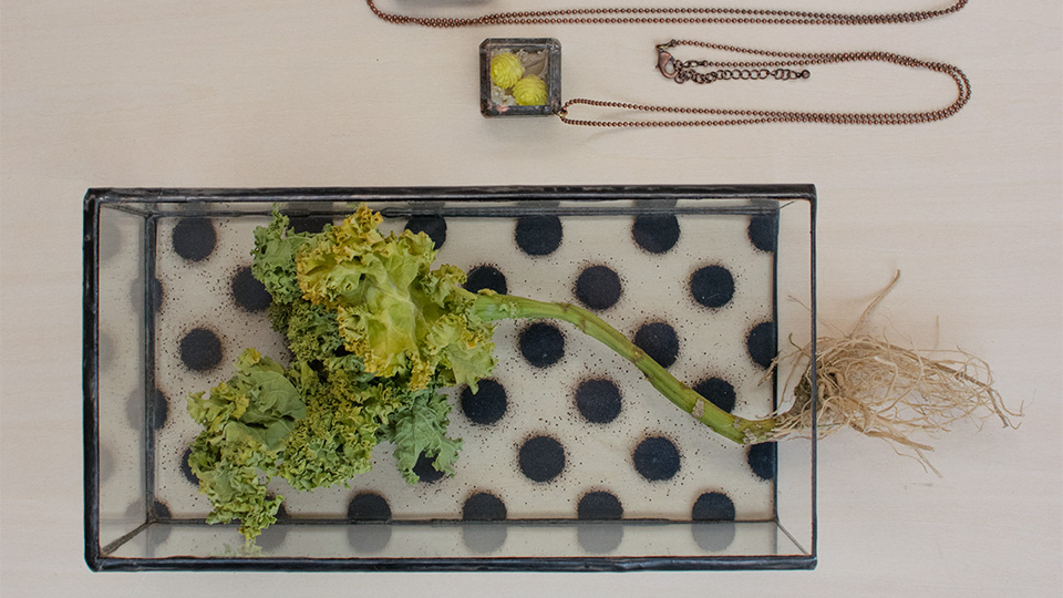ボタニカル展 Glass & Art MOMO with Tida Flower