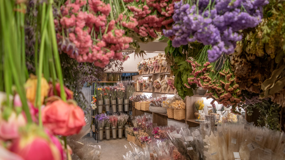 Tida Flower表参道店に並ぶナチュラルドライフラワー