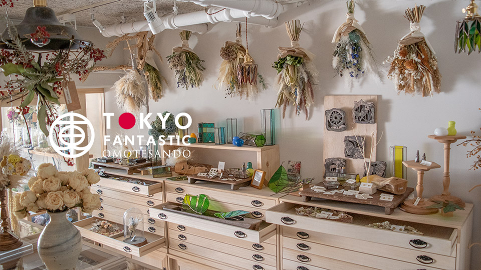 ボタニカル展、開催中!