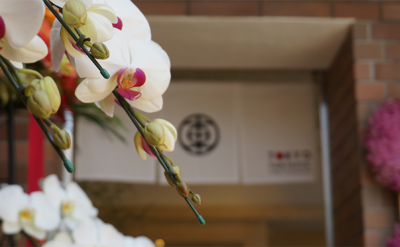 2015.7.10 TOKYO FANTASTIC OMOTESANDO オープン!