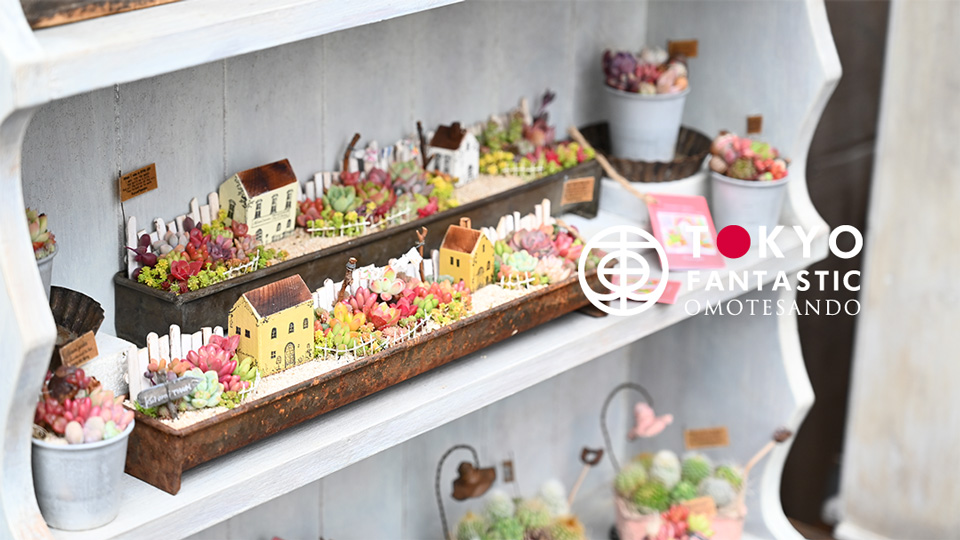 kurumi garden の物語(くるみガーデン 個展)2020. 1/26-2/11