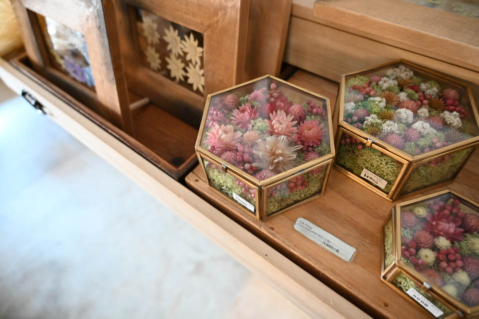 ボタニカル展