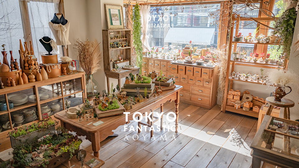 【青山店】くるみガーデン 展 2021. 2/15-2/28