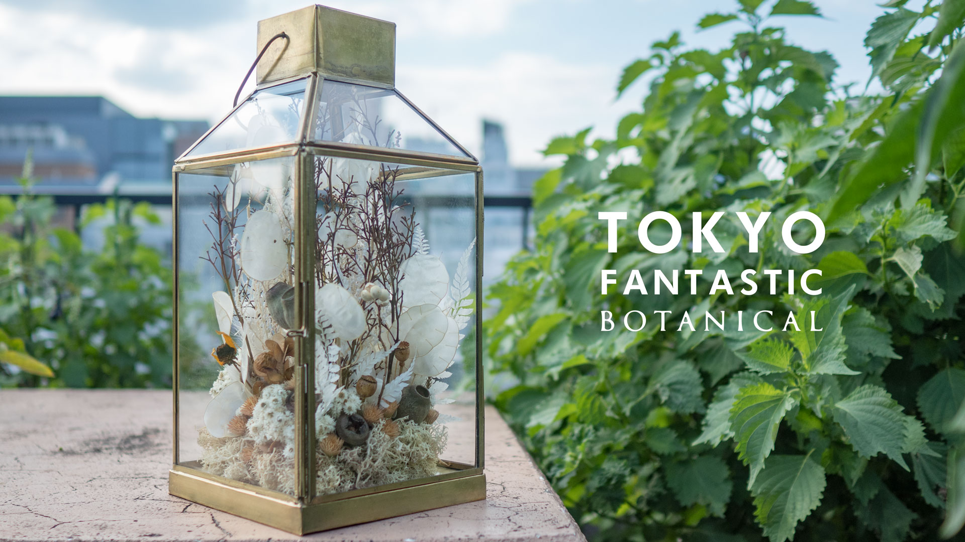 TOKYO FANTASTIC ボタニカル店