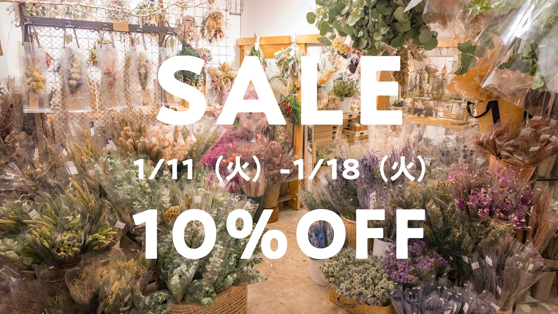 表参道店、ドライフラワーSALE開催!1/18まで。