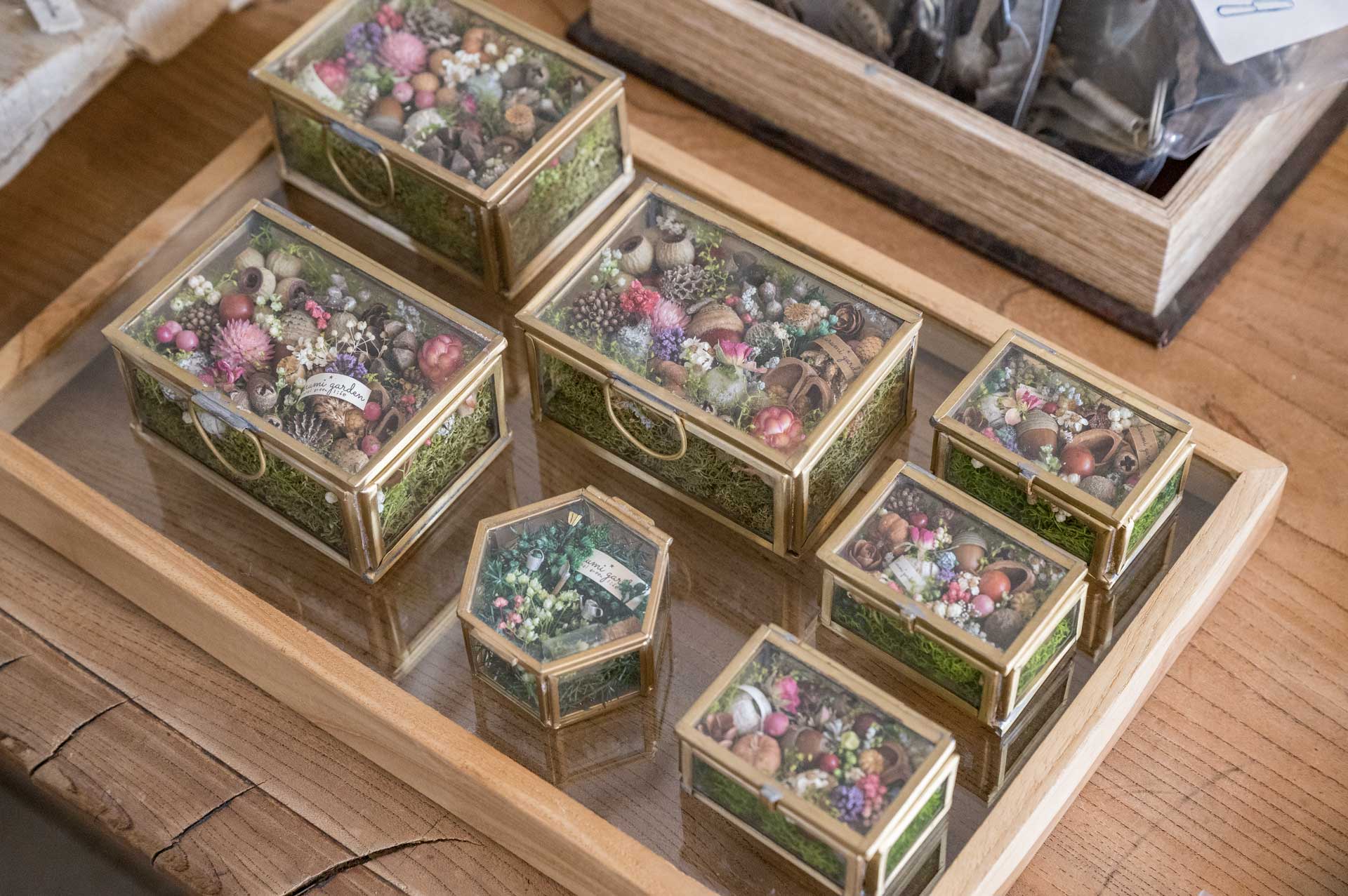 くるみガーデン個展「小さな森のティーパーティー」小さな森の宝箱