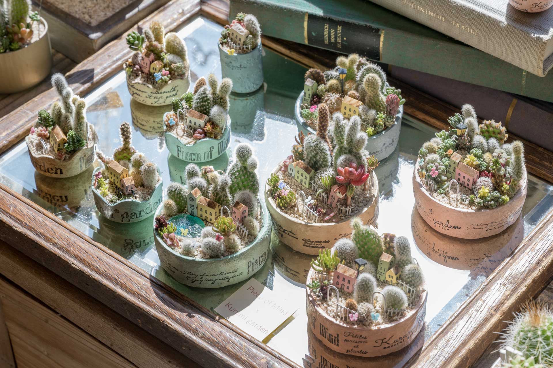くるみガーデン個展「小さな森のティーパーティー」 Peace of Mind × Kurumi garden コラボ作品