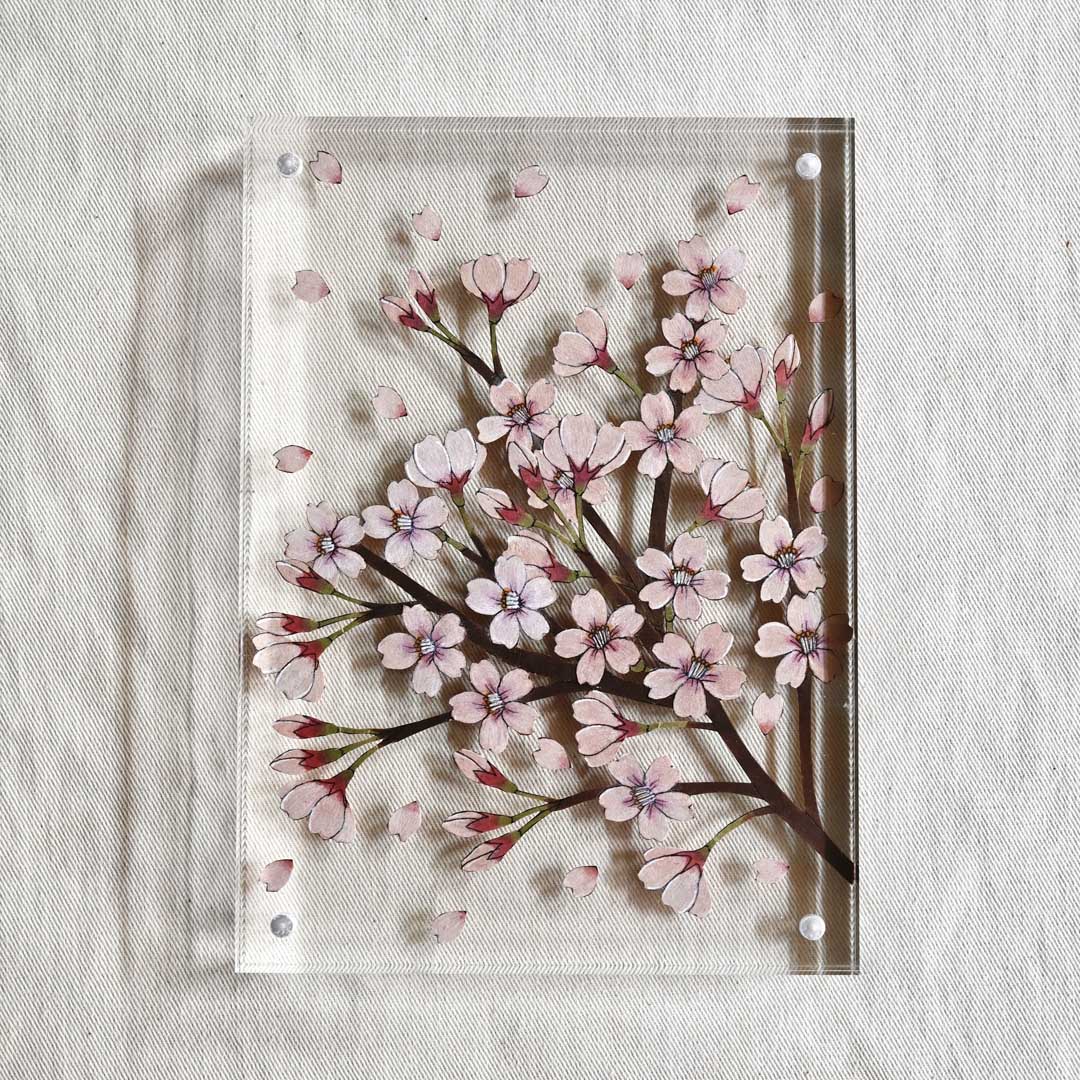 紙の花屋 asanochiaki 4/22-5/13, 2022