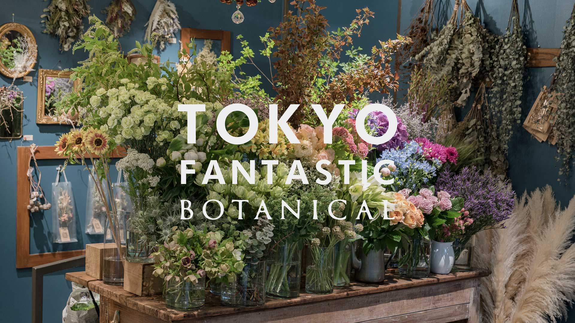 ボタニカル店、生花入荷しました!(2022.5)