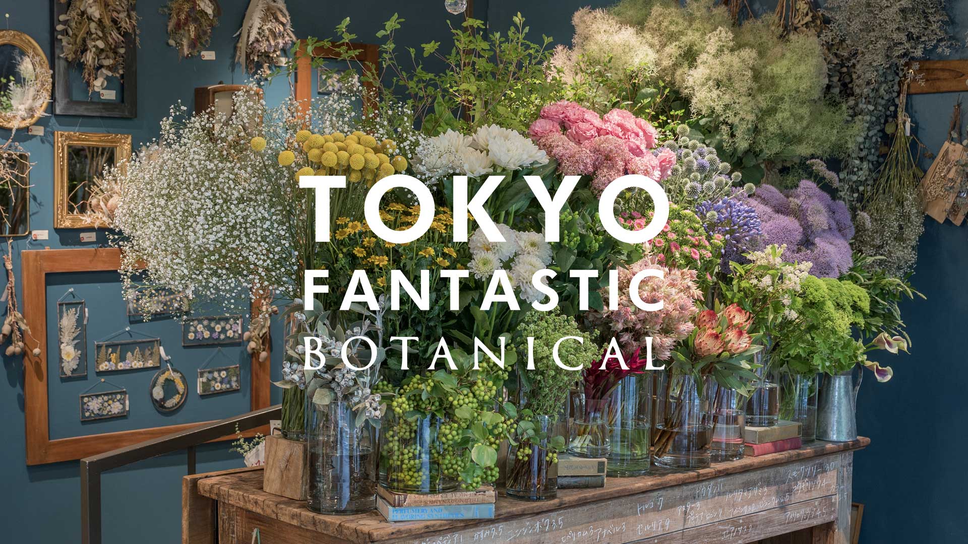 ボタニカル店、生花入荷しました!(2022.7)