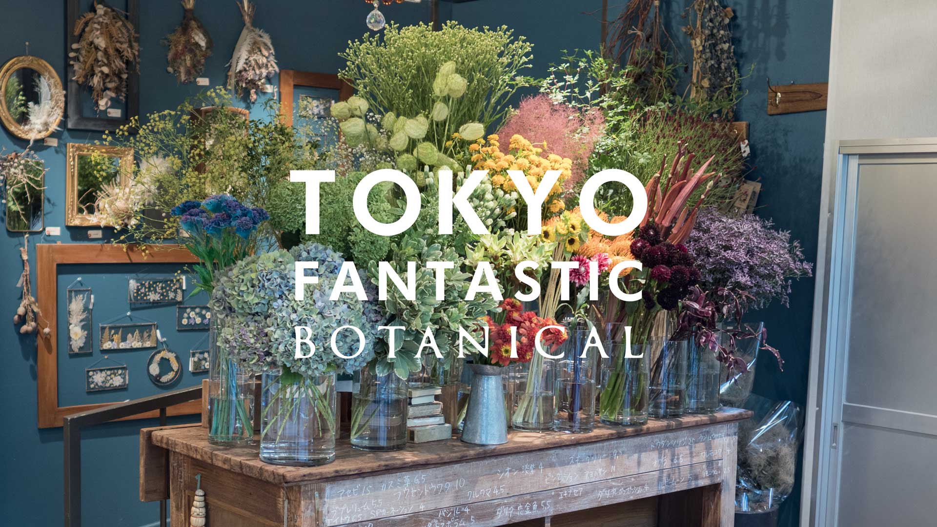 ボタニカル店、生花入荷しました!(2022.8)