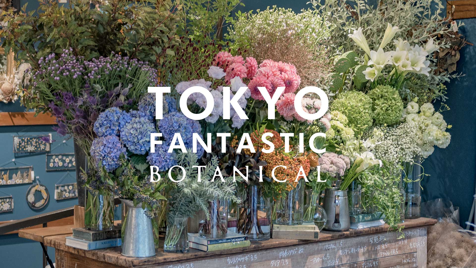 ボタニカル店、生花入荷しました!(2022.9)