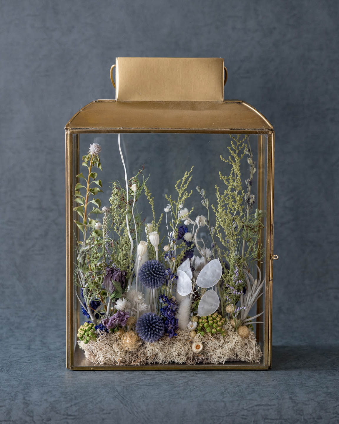 寒色系・ドライフラワーテラリウム 「ランタンフラワー」 dried flower lantern terrarium 背面
