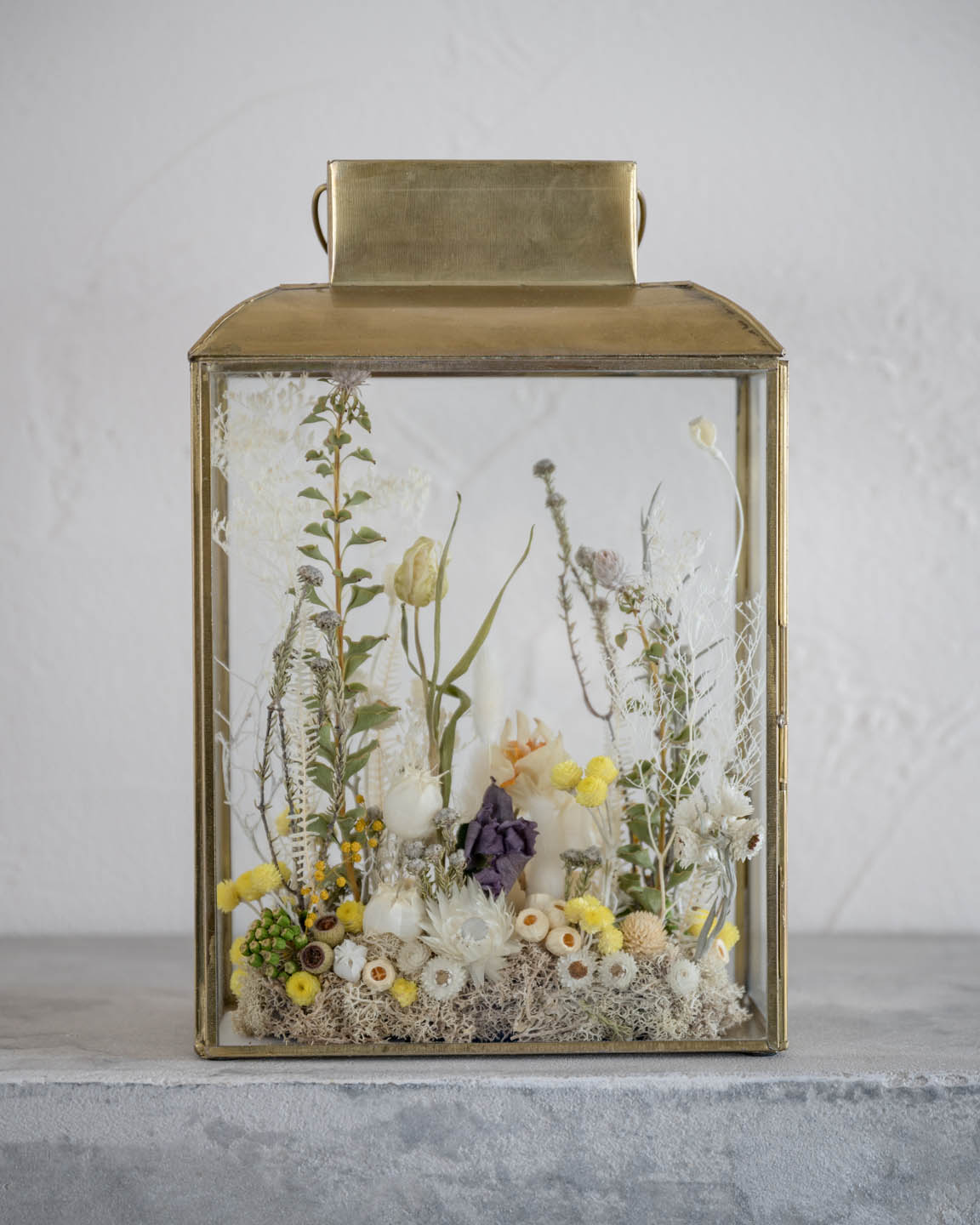 イエロー系・ドライフラワーテラリウム 「ランタンフラワー」 dried flower lantern terrarium 背面