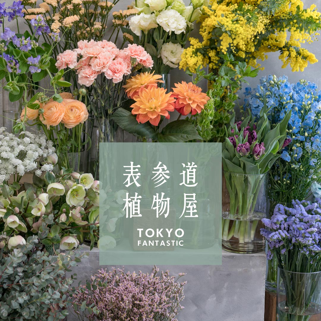 小さな週末花屋 | 表参道植物屋 at TOKYO FANTASTIC 201(にーまるいち)