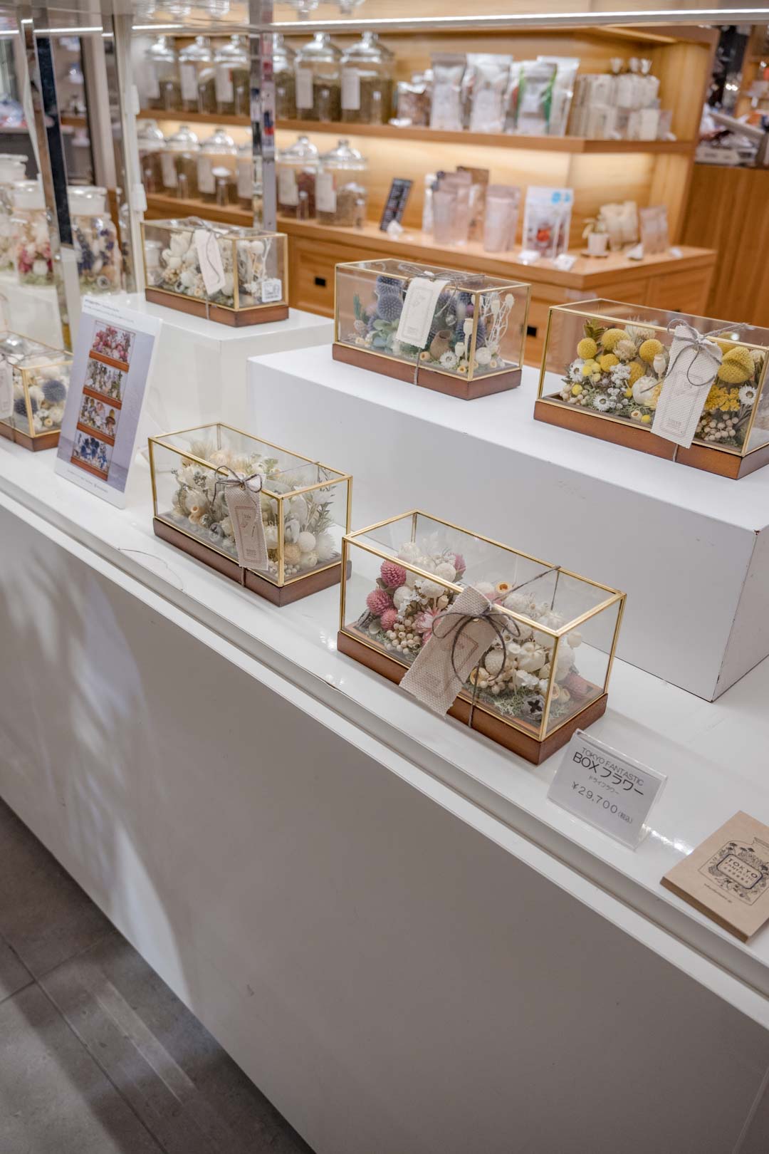 銀座三越、2週間限定ポップアップ出展中!10/4-10/17, 2023