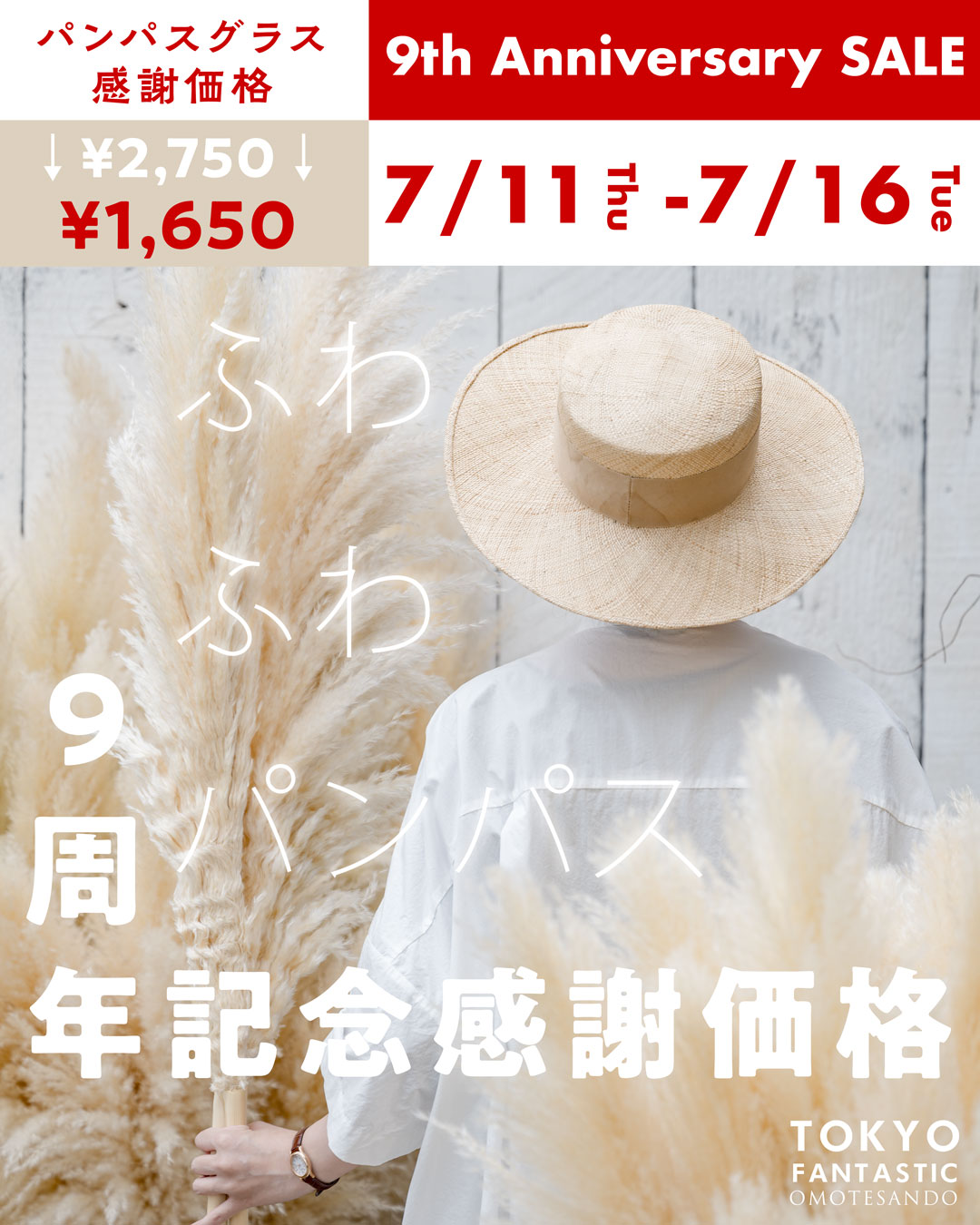 パンパスグラスも特別価格!