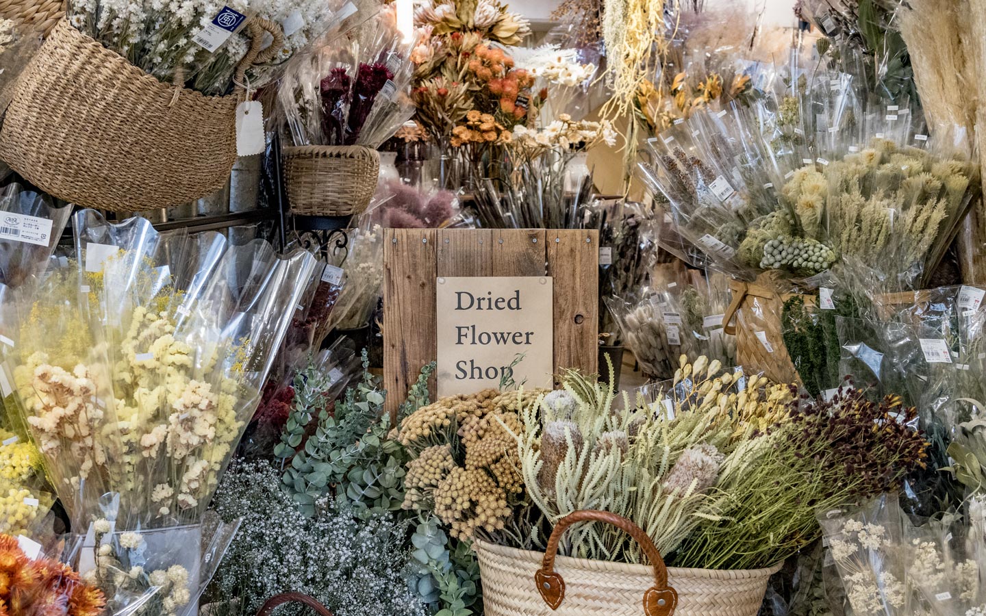 Tida Flower 表参道店 | ドライフラワー花屋