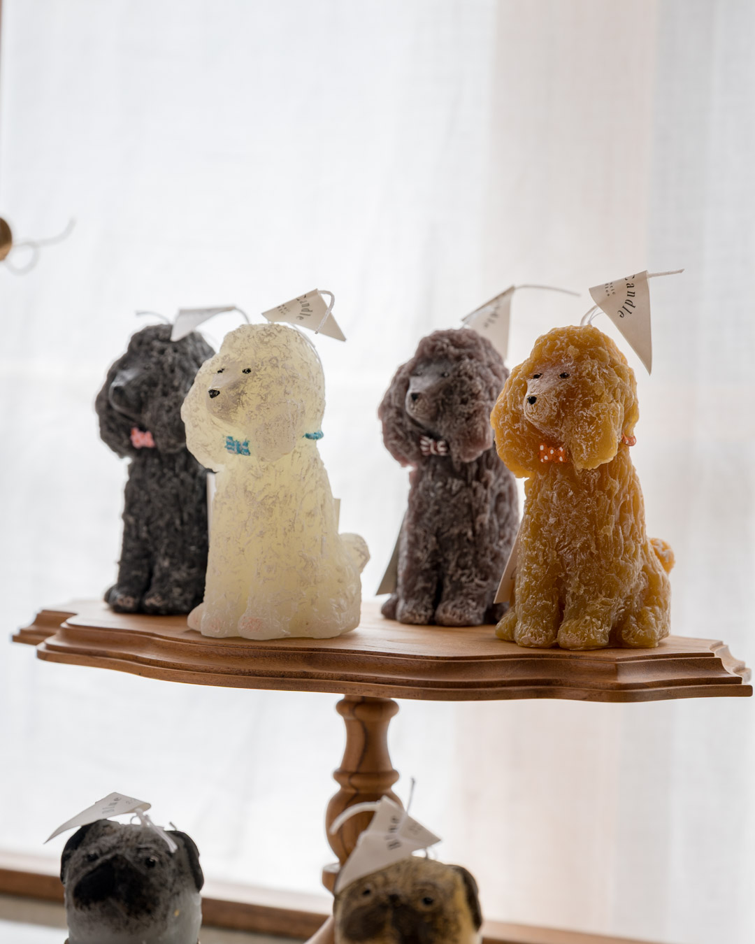 Blue Candle展 10/2-10/16, 2025