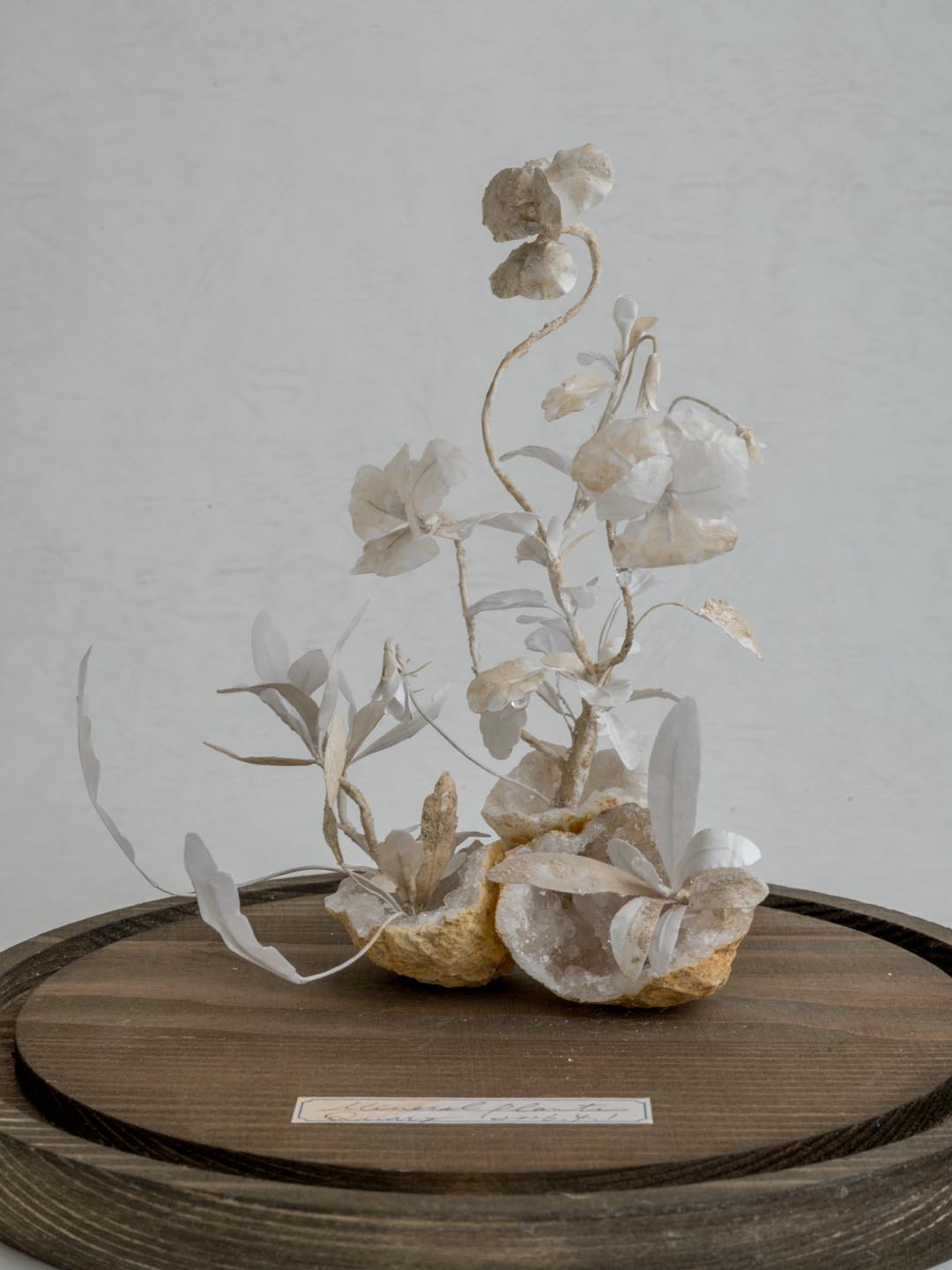 kopfkino + totoganashi 二人展「blooming」| 5/16–5/29, 2026