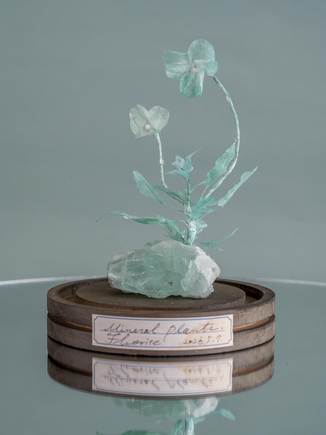 kopfkino + totoganashi 二人展「blooming」| 5/16–5/29, 2026