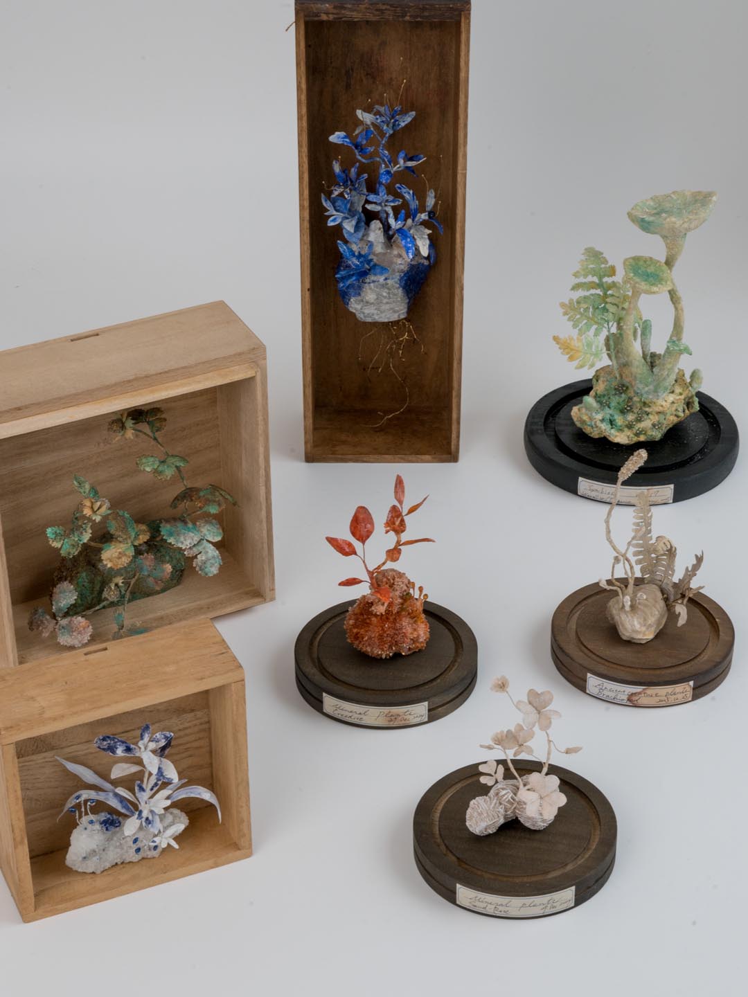 kopfkino + totoganashi 二人展「blooming」| 5/16–5/29, 2026