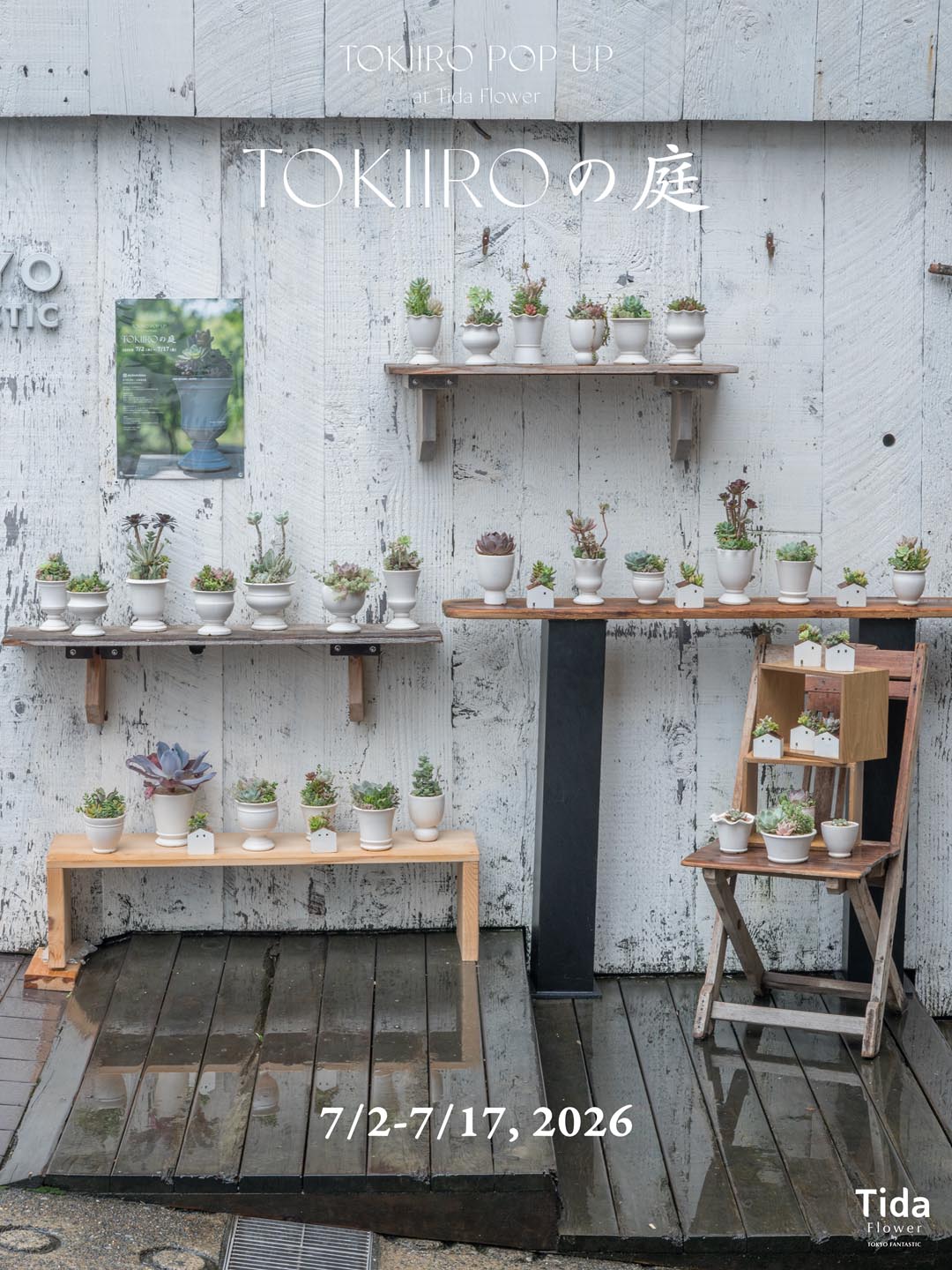 水谷ちえみ陶展| 7/2–7/17, 2026